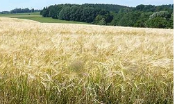 Ferienhof Maierhof und Umgebung